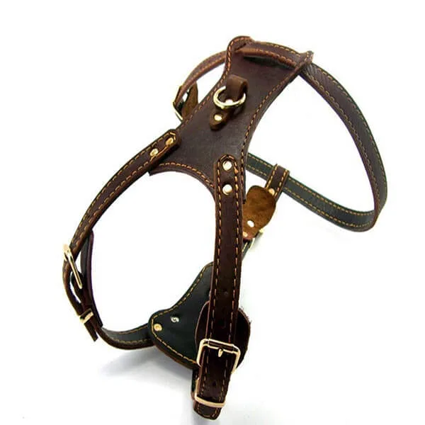 Arnés de cuero Ultrafun Dog para perros