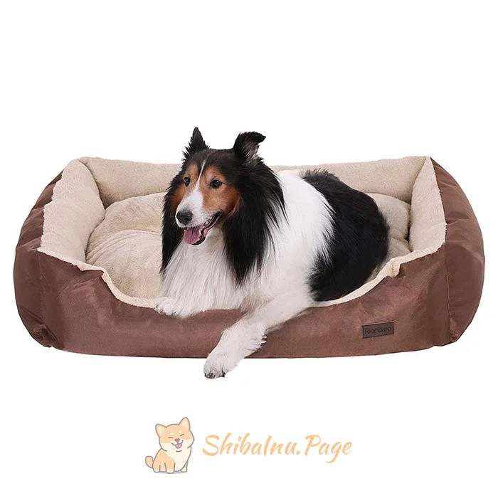 Cama FEANDREA económica para perros