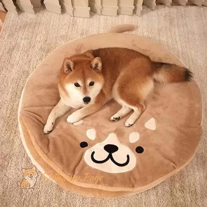 Cama tipo cueva XDYFF para perros