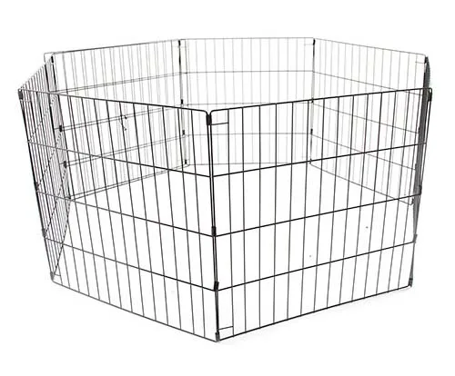 Parque exterior para perros Shiba Inu