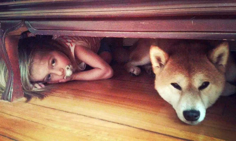Niño y Shiba Inu jugando en el jardín